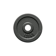 FitNord Viktskiva 30 mm, Gjutjärn 1,25 kg 1
