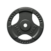 FitNord Viktskiva med grepp 30 mm, Gjutjärn 10 kg 1