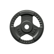 FitNord Viktskiva med grepp 30 mm, Gjutjärn 5 kg 1
