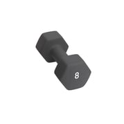 Abilica DumbBell 8 kg Hantel 1