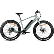 FitNord Rumble 300 Elfatbike, mintgrön (720 Wh batteri)  med ytterligare ett års garanti 1