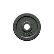 FitNord Viktskiva 30 mm, Gjutjärn 1,25 kg