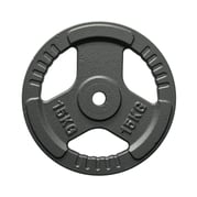 FitNord Viktskiva med grepp 30 mm, Gjutjärn 15 kg