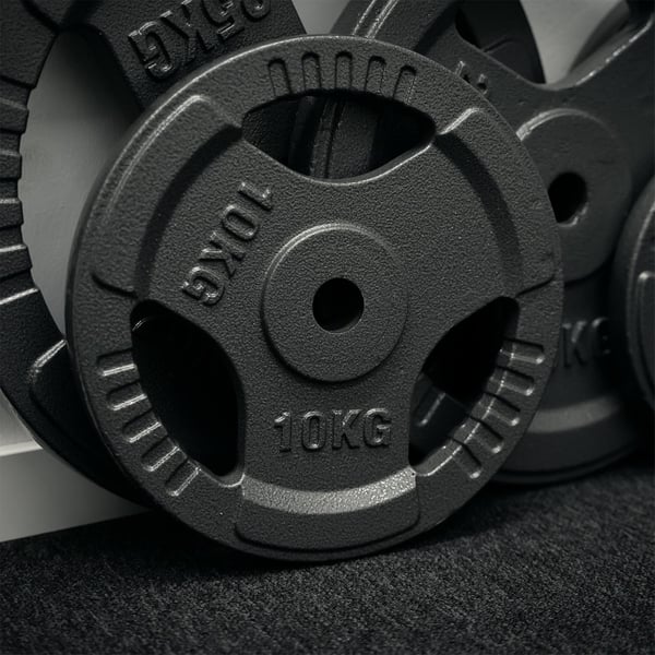 FitNord Viktskiva med grepp 30 mm, Gjutjärn 10 kg 2