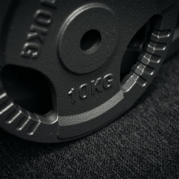 FitNord Viktskiva med grepp 30 mm, Gjutjärn 10 kg 4