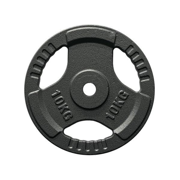 FitNord Viktskiva med grepp 30 mm, Gjutjärn 10 kg 1
