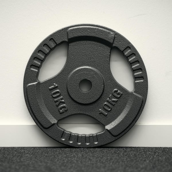 FitNord Viktskiva med grepp 30 mm, Gjutjärn 10 kg 3