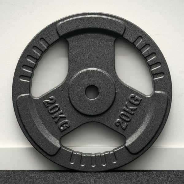 FitNord Viktskiva med grepp 30 mm, Gjutjärn 20 kg 3
