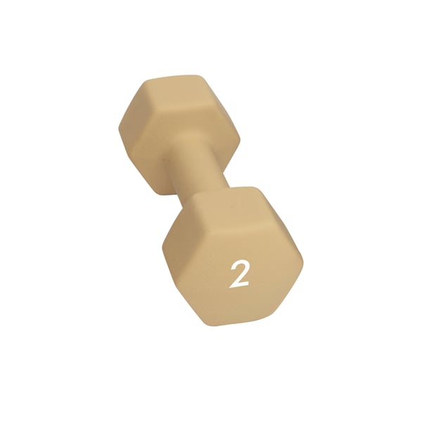 Abilica DumbBell 2 kg Hantel 1