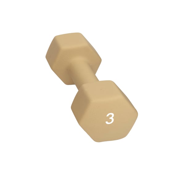 Abilica DumbBell 3 kg Hantel 1