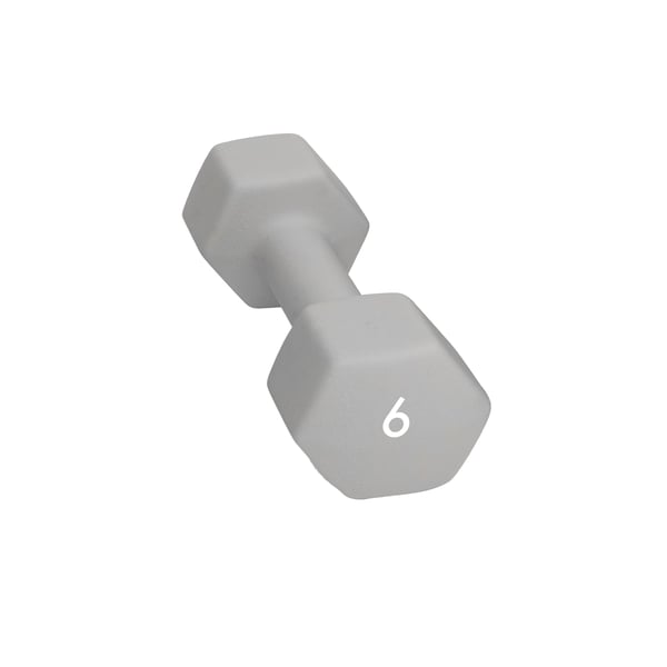 Abilica DumbBell 6 kg Hantel 1