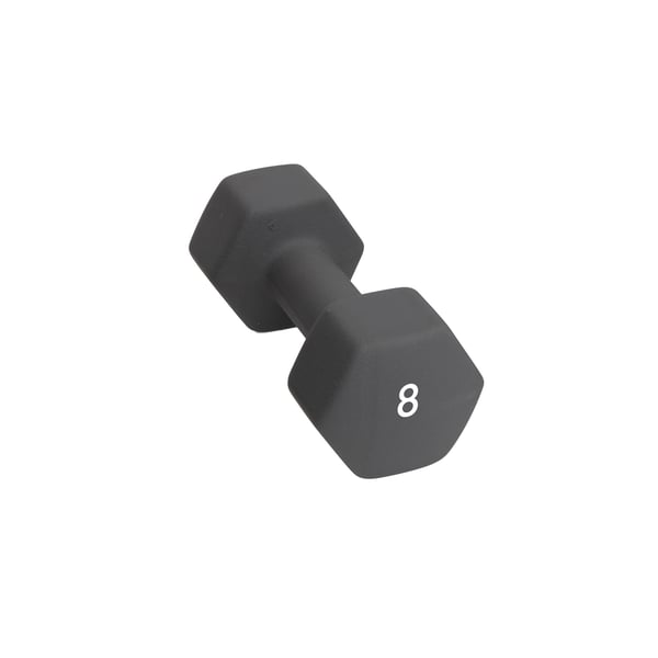 Abilica DumbBell 8 kg Hantel 1
