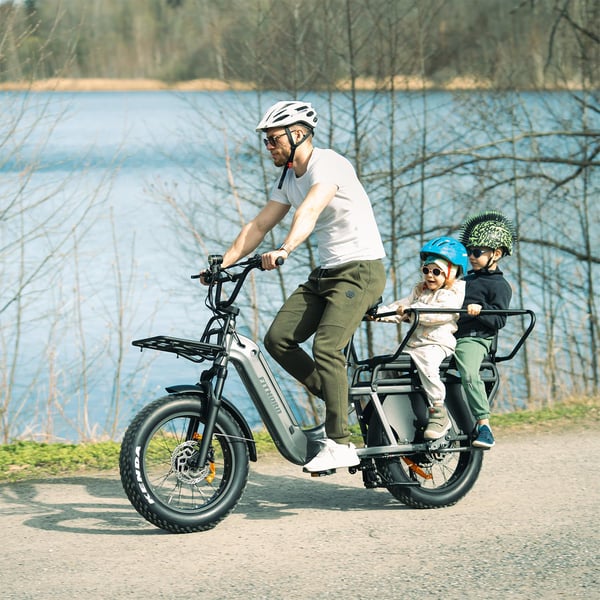 FitNord Cargo 350 Longtail Elcykel, grå 6