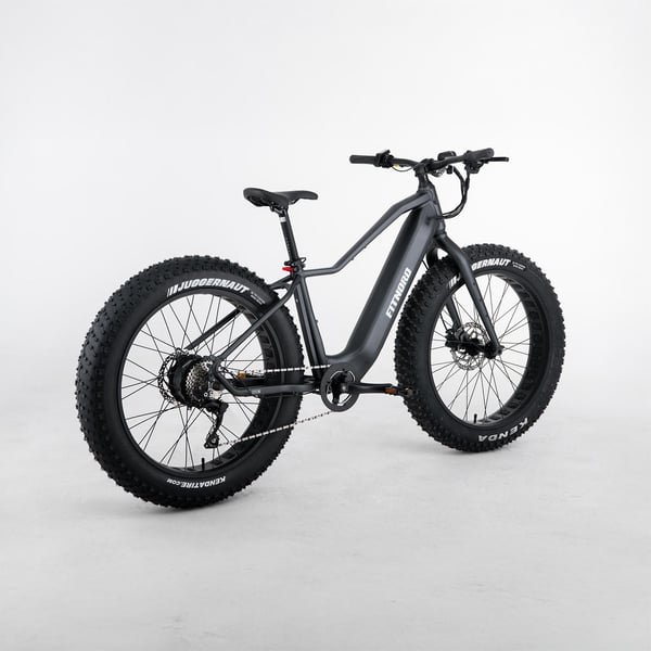 FitNord Rumble 300 Elfatbike G2, svart 3