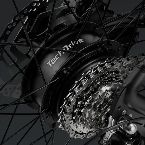 FitNord Rumble 300 Elfatbike 2024, svart (720 Wh batteri) 13