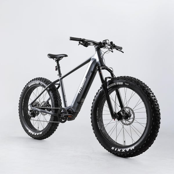 FitNord Rumble 800 Elfatbike, grafit 2
