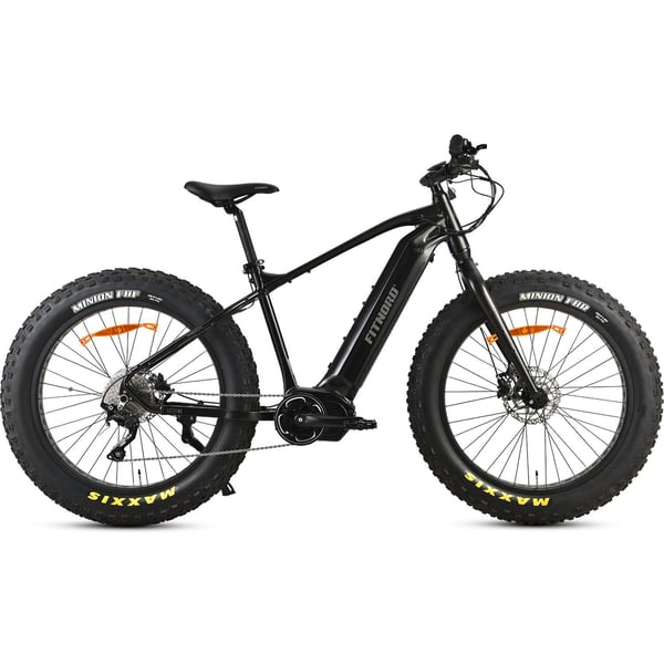 FitNord Rumble 900 Elfatbike, svart (882 Wh batteri)  med ytterligare ett års garanti 1
