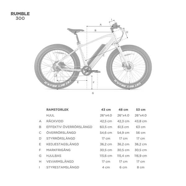 FitNord Rumble 300 Elfatbike, svart (720 Wh batteri)  med ytterligare ett års garanti 14