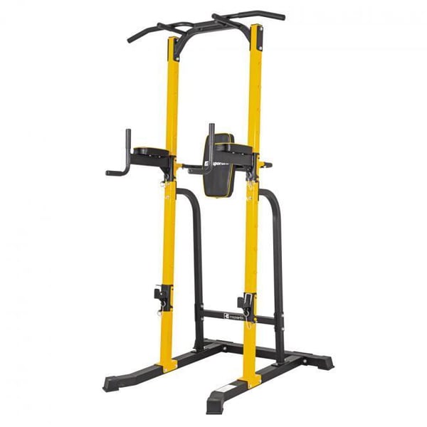 inSPORTline PT250 Power Tower 1