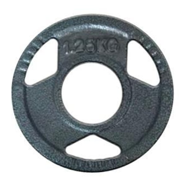 FitNord Viktskiva 30 mm, Gjutjärn 1,25 kg 1