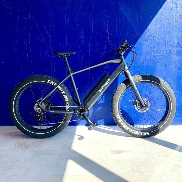 **DEMO STOCKHOLM** FitNord Rumble 300 Elfatbike 2024, svart (720 Wh batteri) 53cm 1