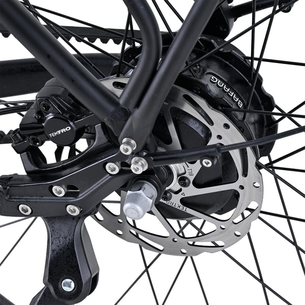 Vecocraft LUNA 2.0 Elcykel 360 Wh, svart 5