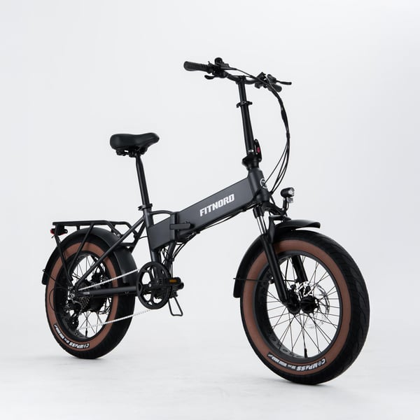 FitNord Rumble 150 Elfatbike