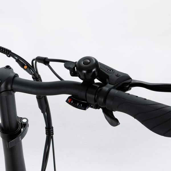 FitNord Rumble 150 Elfatbike