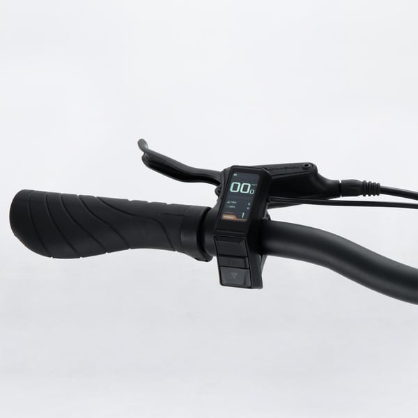 FitNord Rumble 150 Elfatbike