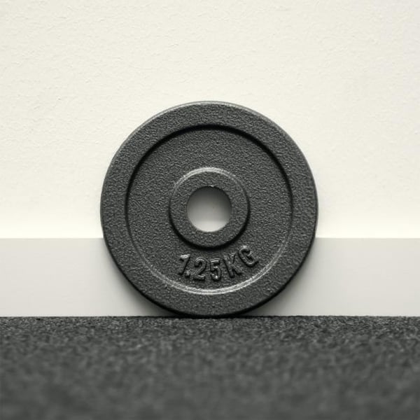 FitNord Viktskiva 30 mm, Gjutjärn 1,25 kg