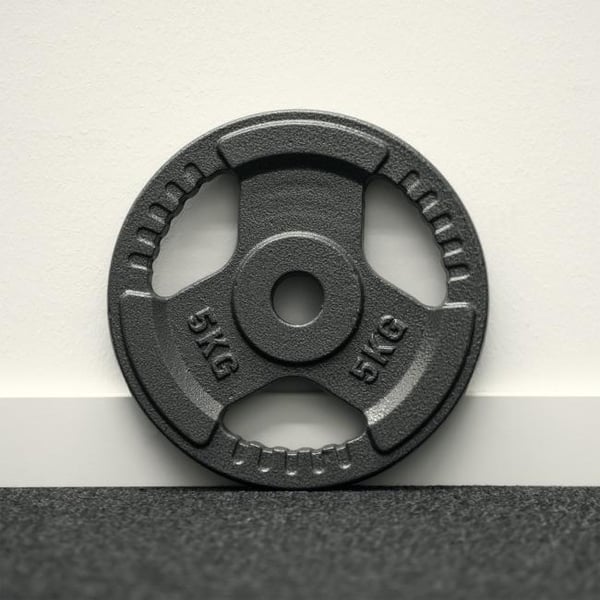 FitNord Viktskiva 30 mm, Gjutjärn 5 kg