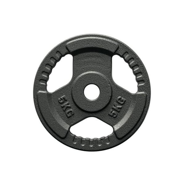 FitNord Viktskiva 30 mm, Gjutjärn 5 kg