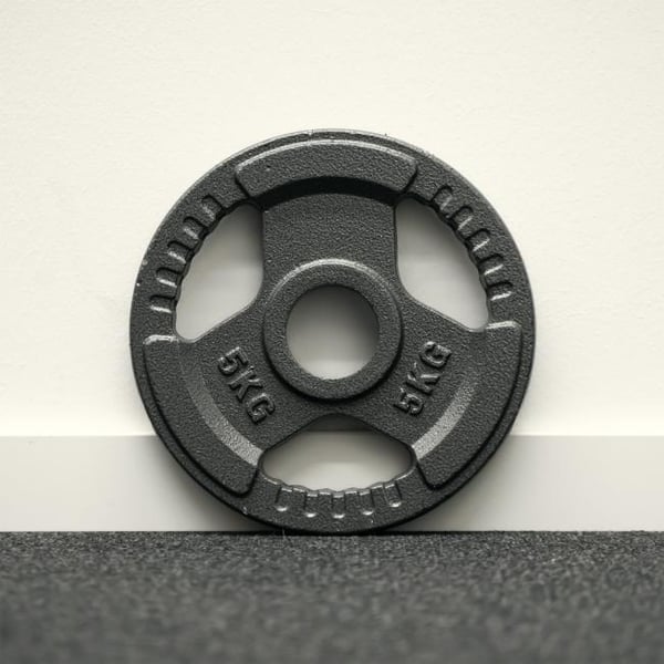 FitNord gjutjärn 50 mm viktplatta med grepp 5 kg