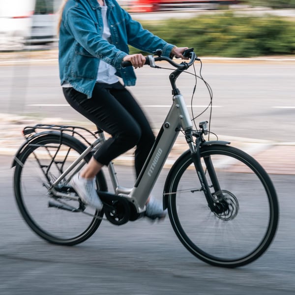 FitNord Classic 500 Elcykel 2024, silver (630 Wh batteri)