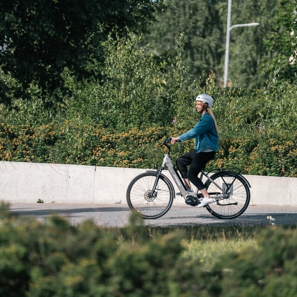 FitNord Classic 500 Elcykel 2024, silver (630 Wh batteri)
