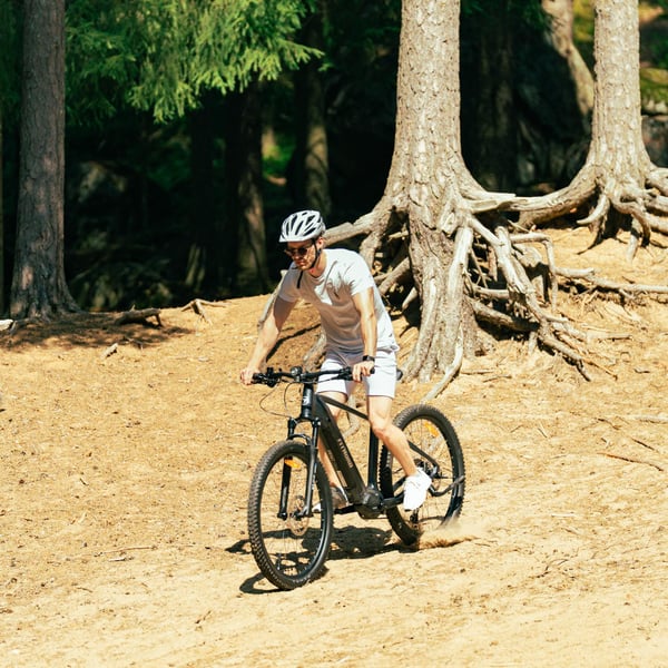 FitNord Ranger 800 Elmountainbike, grafit