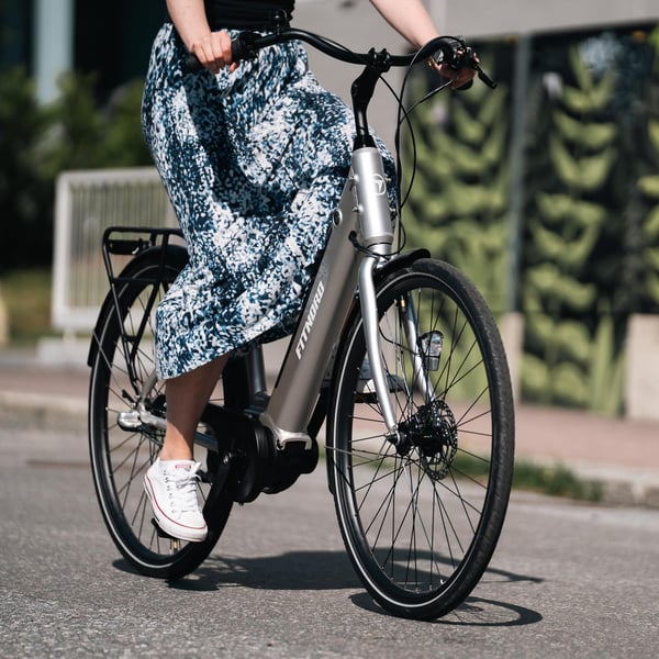 FitNord Classic 300 Elcykel 2024, silver (489,6 Wh batteri)