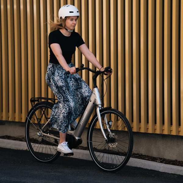 FitNord Classic 300 Elcykel 2024, silver (489,6 Wh batteri)