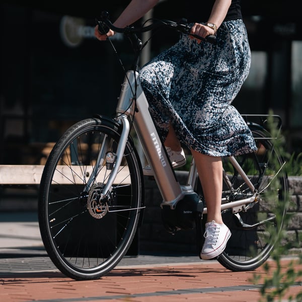 FitNord Classic 300 Elcykel 2024, silver (489,6 Wh batteri)