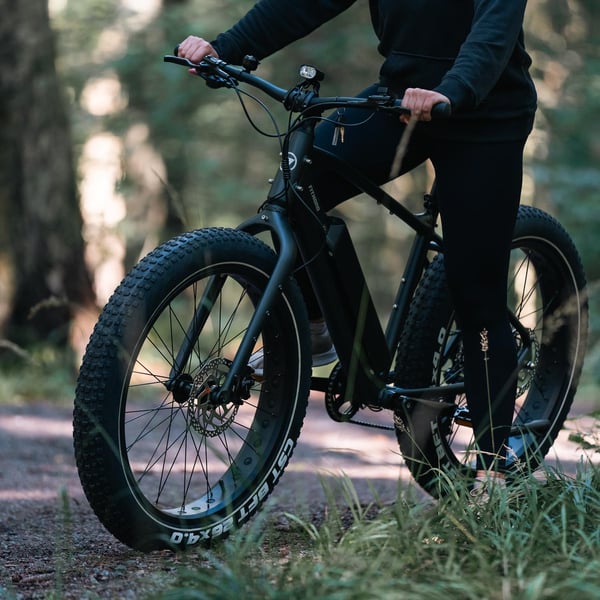 FitNord Rumble 300 Elfatbike 2024, svart (720 Wh batteri)