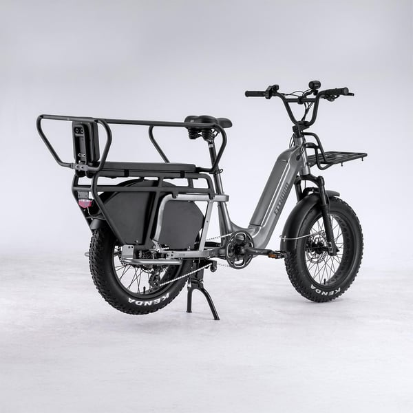 FitNord Cargo 350 Longtail Elcykel, grå