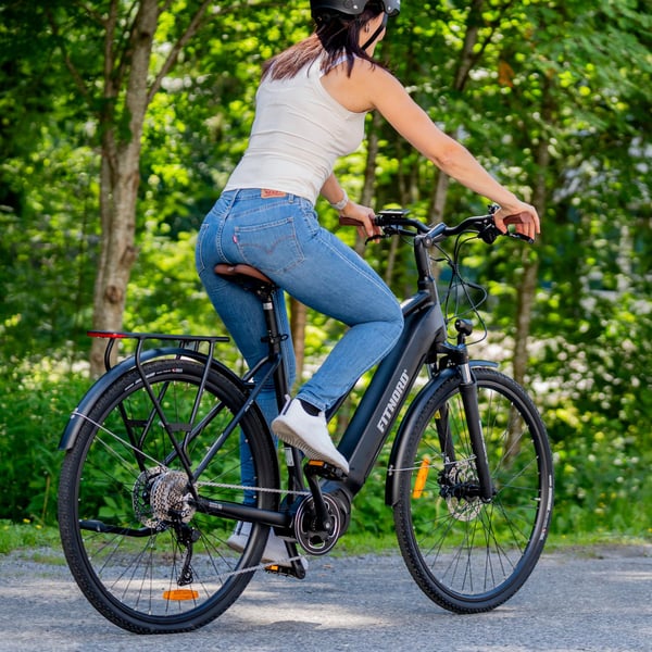 FitNord Ava 700 Elcykel, svart (720 Wh batteri)  med ytterligare ett års garanti