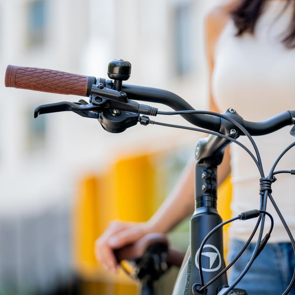 FitNord Ava 700 Elcykel, svart (720 Wh batteri)  med ytterligare ett års garanti