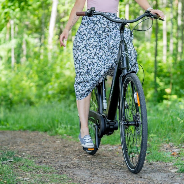 FitNord Classic 300 Elcykel, svart (504 Wh batteri)  med ytterligare ett års garanti