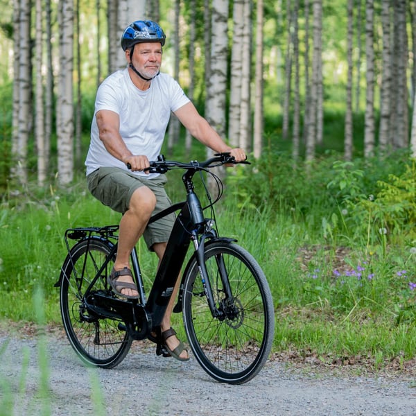 FitNord Venture 300 Elcykel, grafitgrå (720 Wh batteri) 
