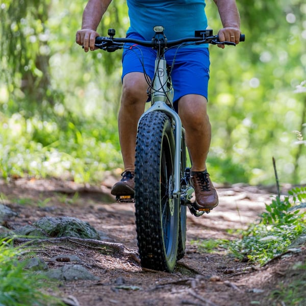 FitNord Rumble 900 Elfatbike, mintgrön (882 Wh batteri)  med ytterligare ett års garanti