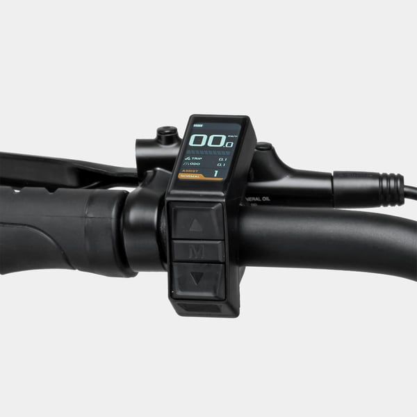 FitNord Ava 200 Elcykel 2024, svart (540 Wh batteri)