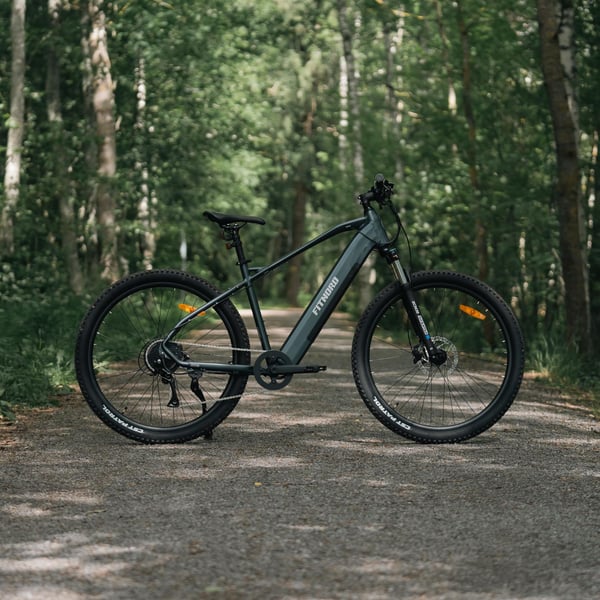 FitNord Ranger 300 Elmountainbike G2, svart