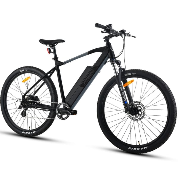Fitnord Ranger 300 Elmountainbike
