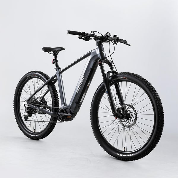 FitNord Ranger 800 Elmountainbike, grafit